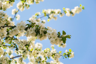 Similar image 7802016