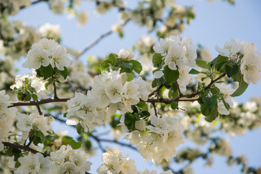 Similar image 7802017