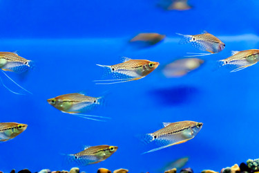 Similar image 7802091