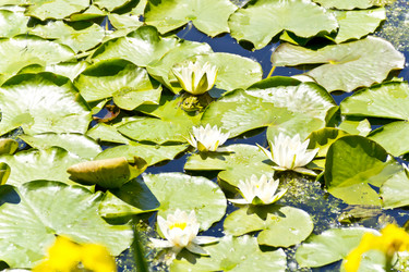 Similar image 7802092