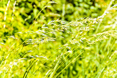 Similar image 7802094