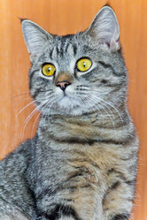 Similar image 7802096