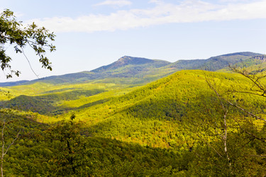 Similar image 7802102