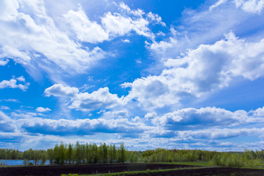 Similar image 7802105