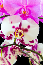 Similar image 7802107