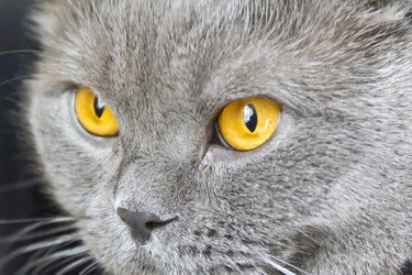 Similar image 7802109