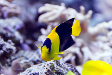 Similar image 7802110