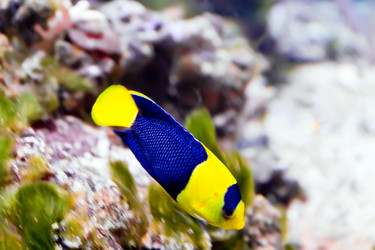 Similar image 7802113