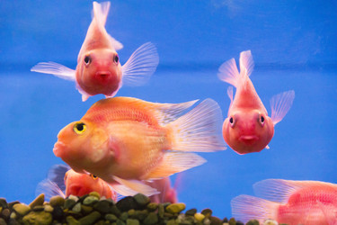 Similar image 7802114