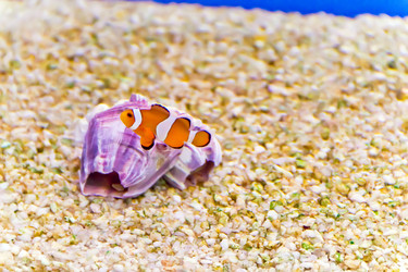 Similar image 7802117