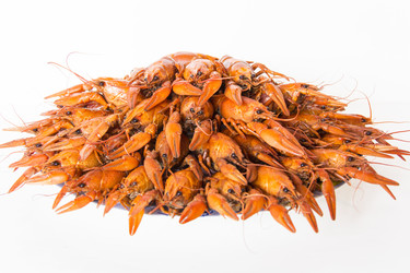 Similar image 7802118