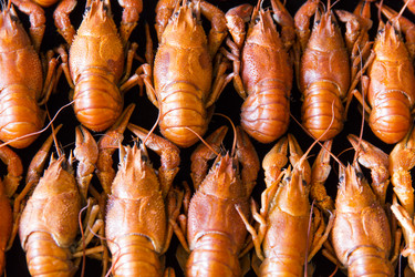 Similar image 7802119