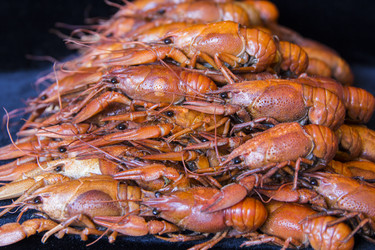 Similar image 7802133