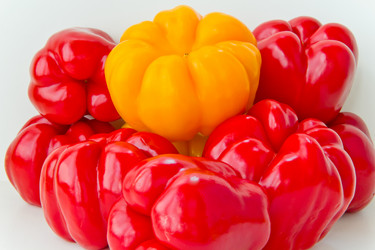 Similar image 7802152