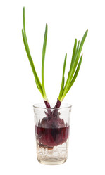 Similar image 7802164