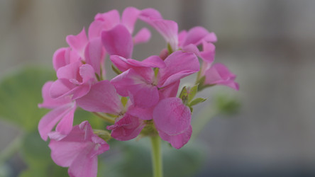 Similar image 7802194