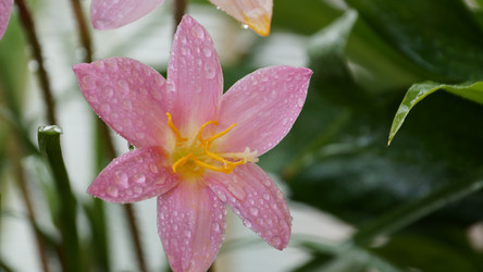 Similar image 7802196