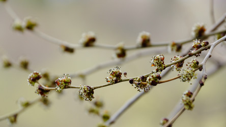 Similar image 7802198