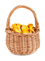 Similar image 7802249