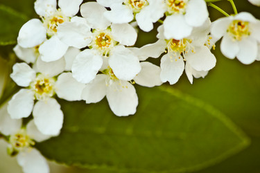 Similar image 7802260