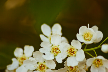 Similar image 7802261