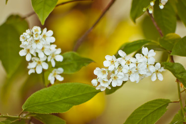 Similar image 7802262