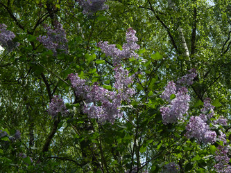 Similar image 7802275