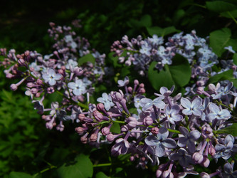 Similar image 7802276