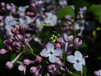 Similar image 7802277