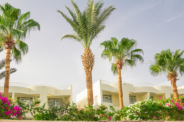 Similar image 7802621