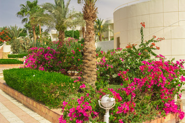 Similar image 7802622