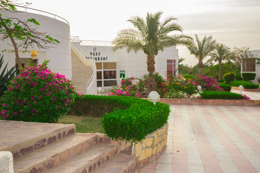 Similar image 7802625