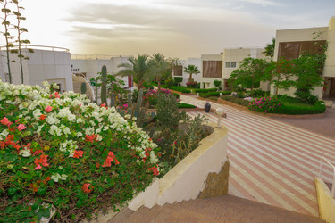 Similar image 7802628