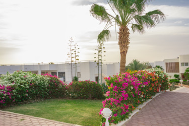 Similar image 7802629