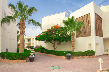 Similar image 7802631