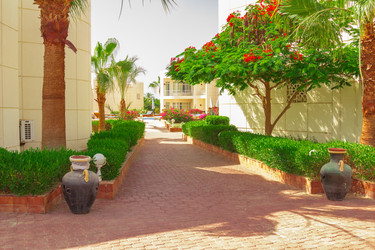 Similar image 7802632