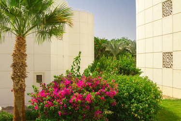 Similar image 7802634