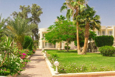 Similar image 7802635