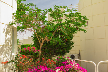 Similar image 7802637