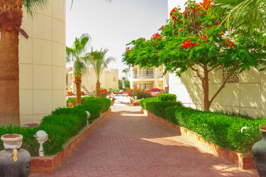 Similar image 7802640