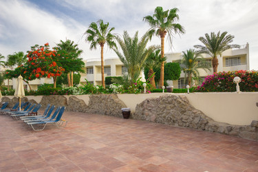 Similar image 7802644