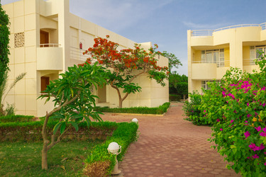 Similar image 7802648