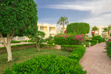 Similar image 7802649