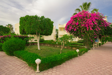 Similar image 7802650