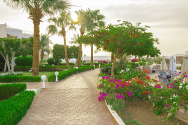 Similar image 7802653