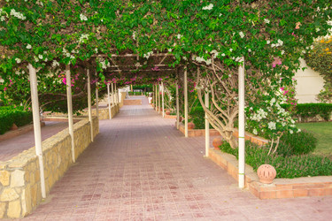 Similar image 7802655