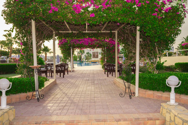 Similar image 7802656