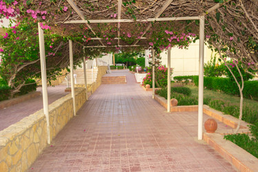 Similar image 7802657