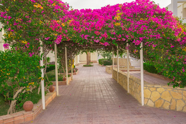 Similar image 7802658