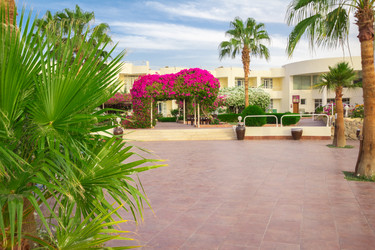 Similar image 7802660